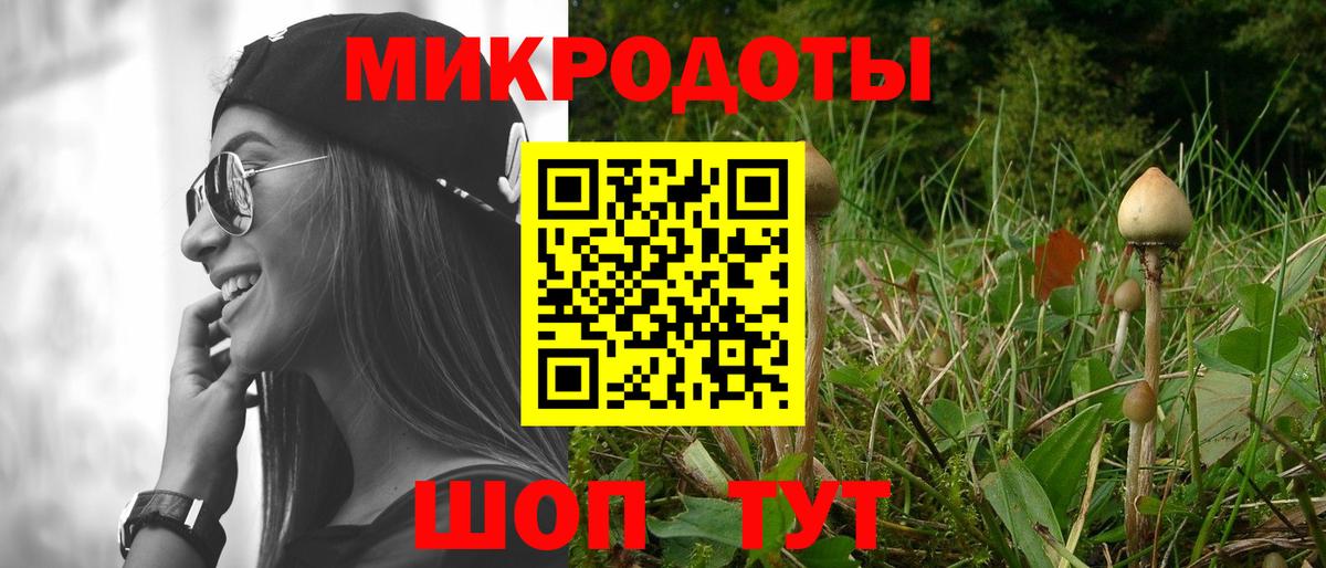 Псилоцибиновые грибы Psilocybe Асбест
