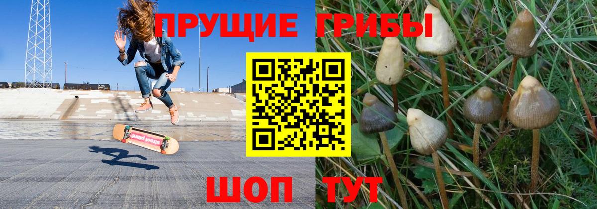 Псилоцибиновые грибы Psilocybe  Вход с VPN  закладки  Асбест 